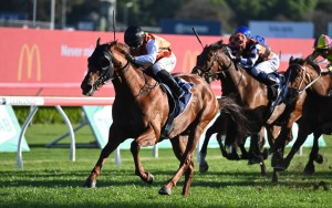 Ellsberg-15102022-8463-734x4602x-1