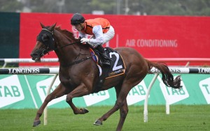 Ellsberg-2602228271-734x4602x-1