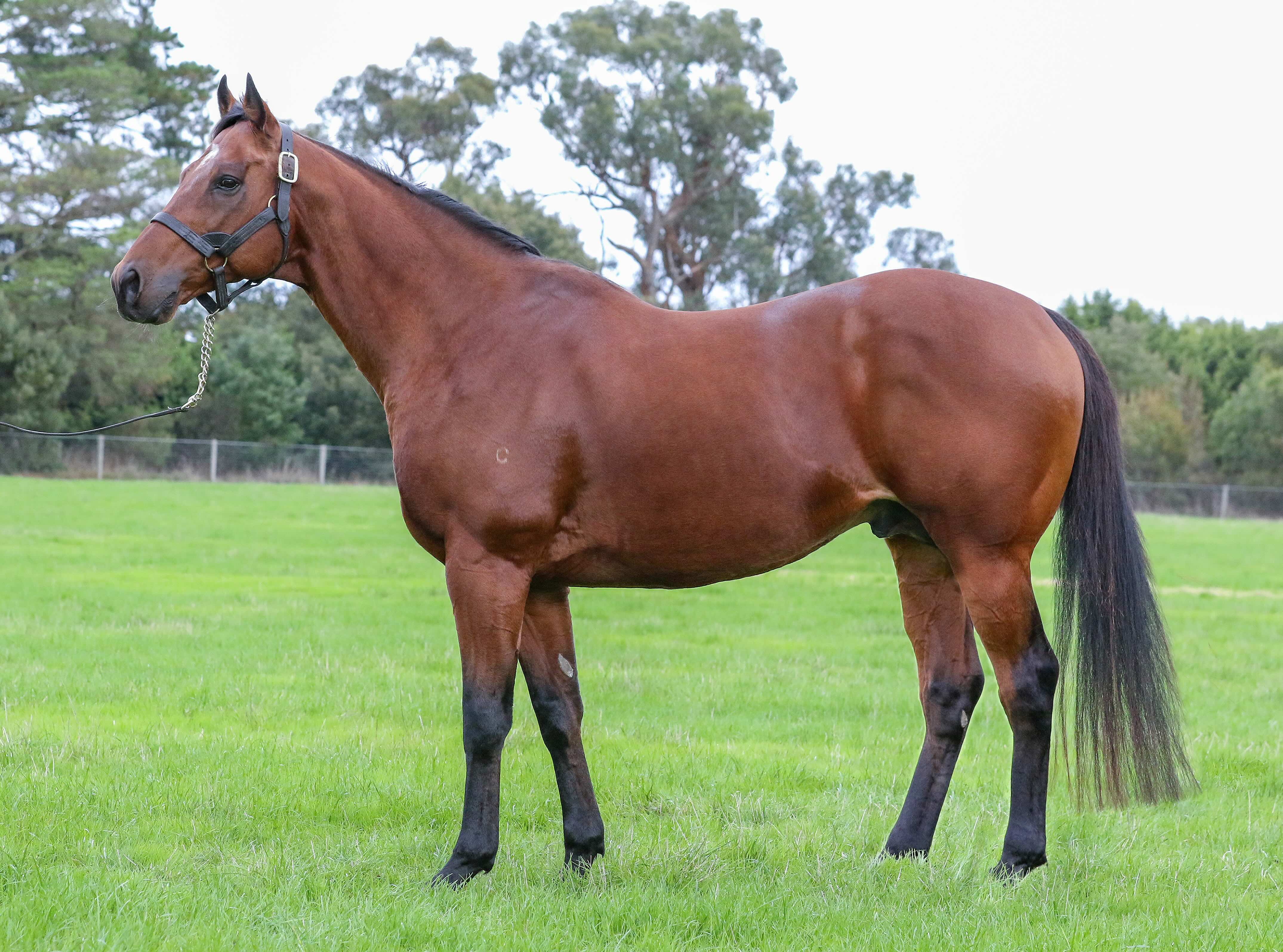 Cape Of Good Hope Confirmation small