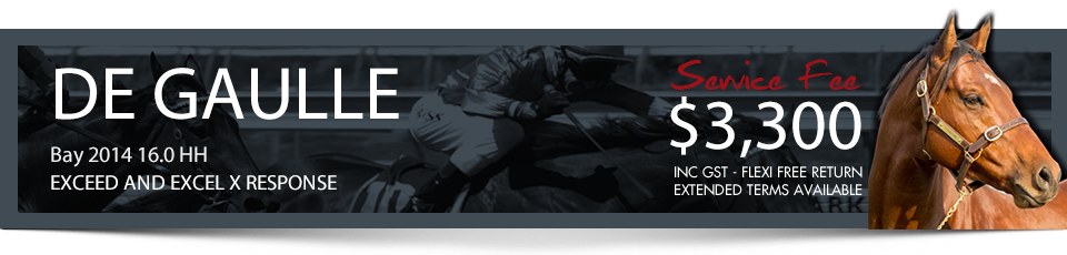 BOM header template degaulle