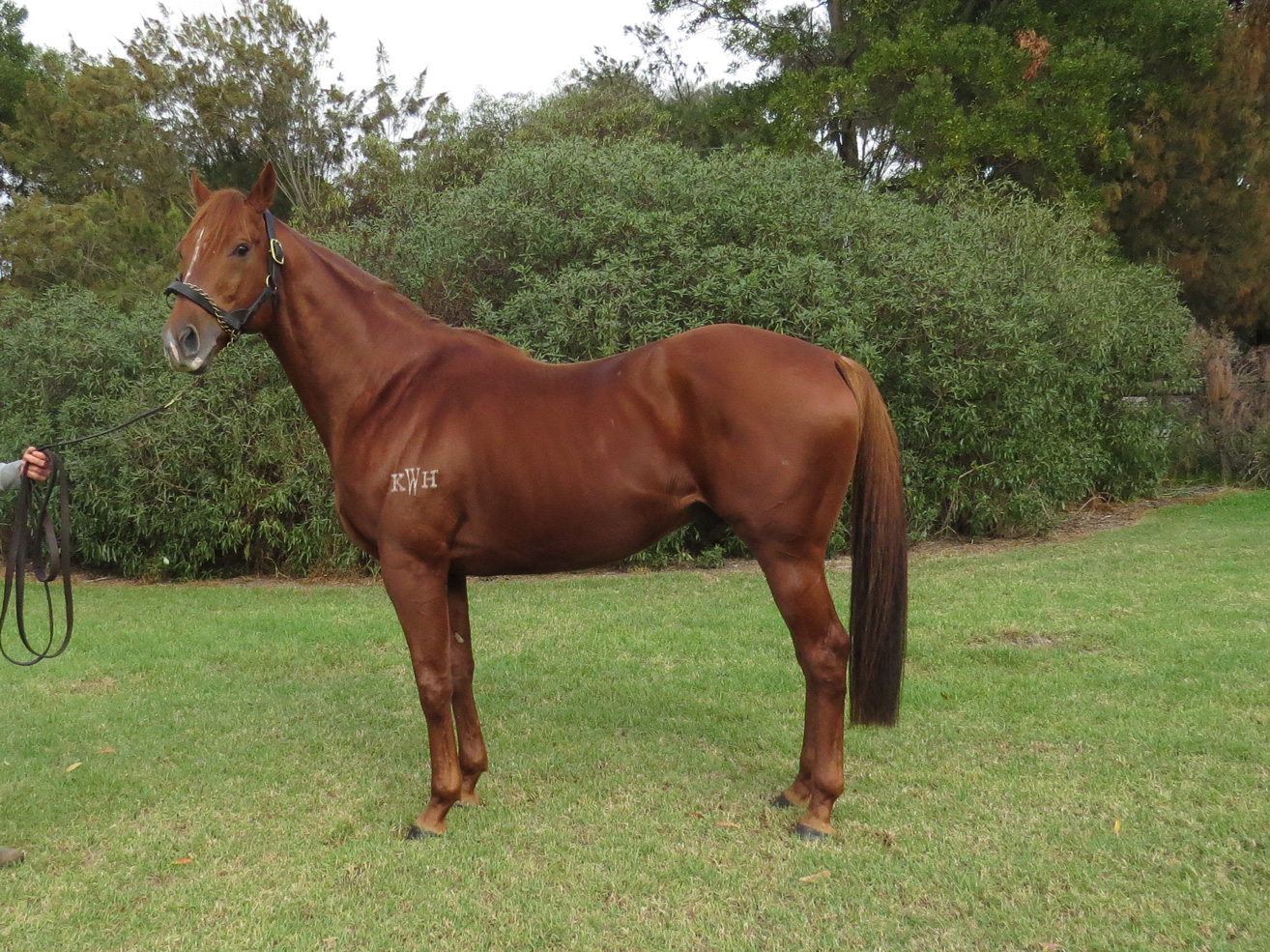 Ellsberg Confirmation