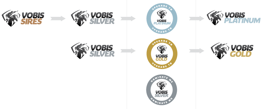 vobis explained 2000px 002